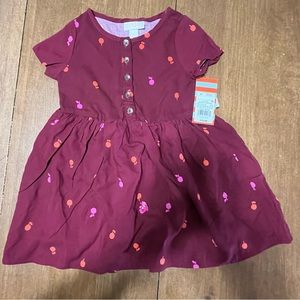 Cat & Jack apple 🍎 dress 3T NWT